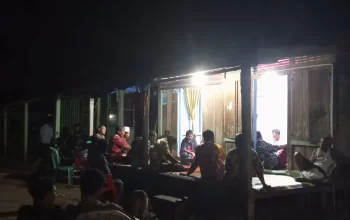 Ada dengan plasma desa muara Opu kec batang Toru kab Tapsel Ada dengan plasma desa muara Opu kec batang Toru kab Tapsel