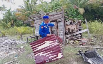 IMG-20240825-WA0000 IMG-20240825-WA0000