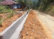 Proyek parit DD simpang Koje Jadi Sorotan Di Duga Kelabui Puplik