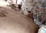 Maraknya Tambang Emas Ilegal Di Hutabargot,Kepala Desa Binanga Sebut Pejabat Dan Oknum Aparat Ikut Dalam Tambang