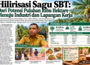 Hilirisasi Sagu SBT: Dari Potensi Puluhan Ribu Hektare Menuju Industri dan Lapangan Kerja