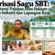 Hilirisasi Sagu SBT: Dari Potensi Puluhan Ribu Hektare Menuju Industri dan Lapangan Kerja