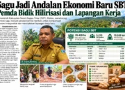Sagu Jadi Andalan Ekonomi Baru SBT Pemda Bidik Hilirisasi dan Lapangan Kerja